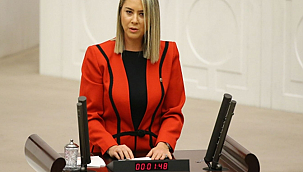 AK Partili Çankırı'dan "şiraze" polemiği