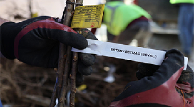 İpekböcekçiliği canlanıyor, kestane üretimi güçleniyor