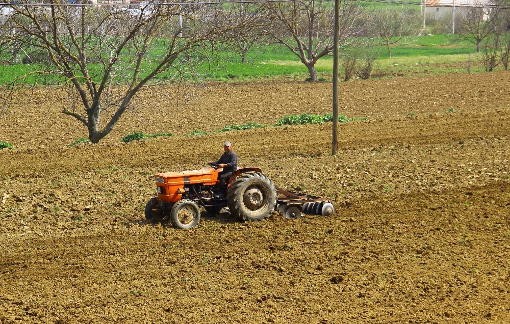 Yasakla birlikte, Aydın'da tarım arazilerinin çehresi değişti