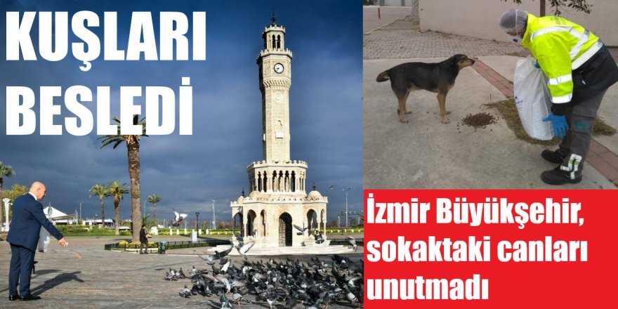 İzmir'de sokakta yaşayan canlar da unutulmadı