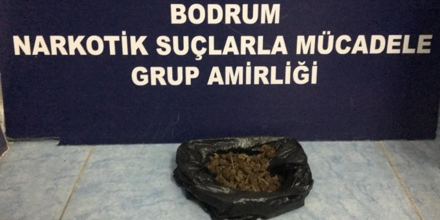 İzmir'den uyuşturucu getirip Bodrum'da satan 2 kardeş tutuklandı