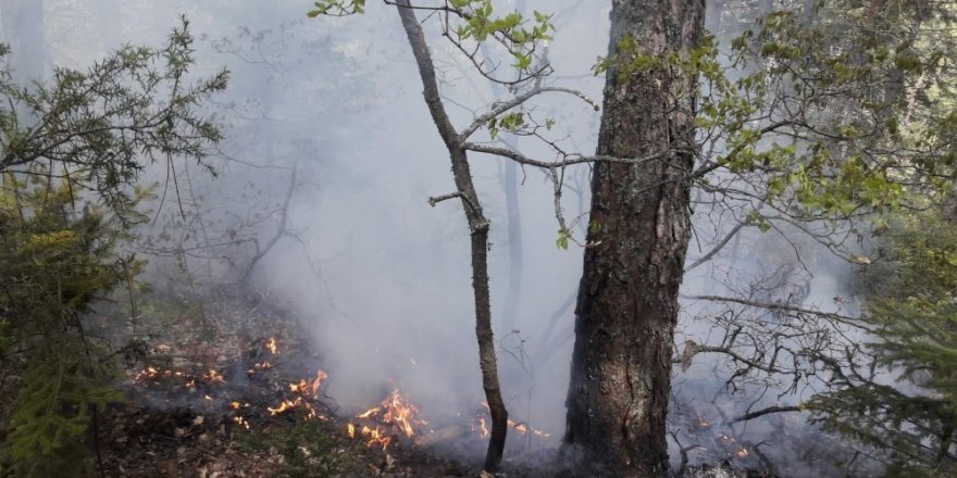 Yıldırım düşmesi sonrası çıkan yangına erken müdahale