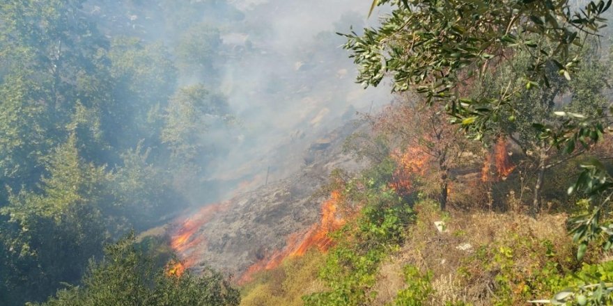 Marmara Adası'nda yangın tekrar başladı