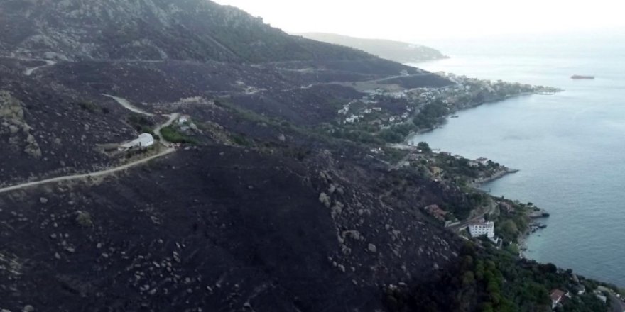 Marmara Adası'ndaki yangının korkunç bilançosu açıklandı