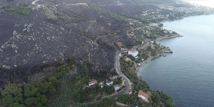 Marmara Adası'nda ağaçlandırma seferberliği başlatıldı