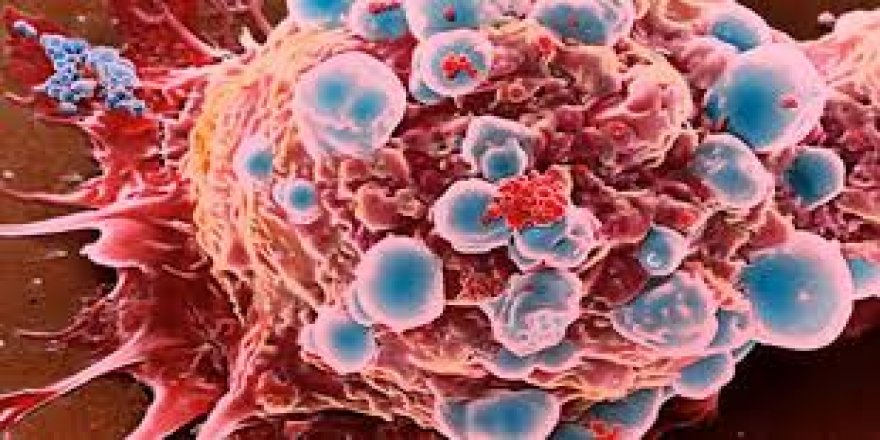 Bilim insanı kansere karşı en dirençli kan grubu açıkladı