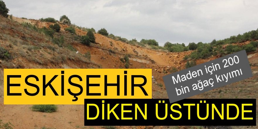 Eskişehir'de maden katliamı! 200 bin ağaç kesilecek