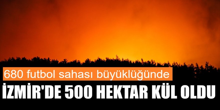 İzmir'de 500 hektarlık orman küle döndü
