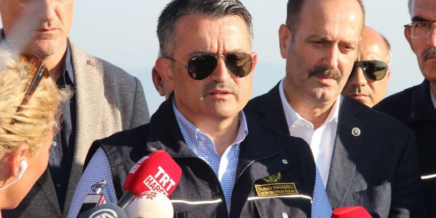 Orman Bakanı'ndan Soyer'e: Yarım saat gelip görüntü verdi