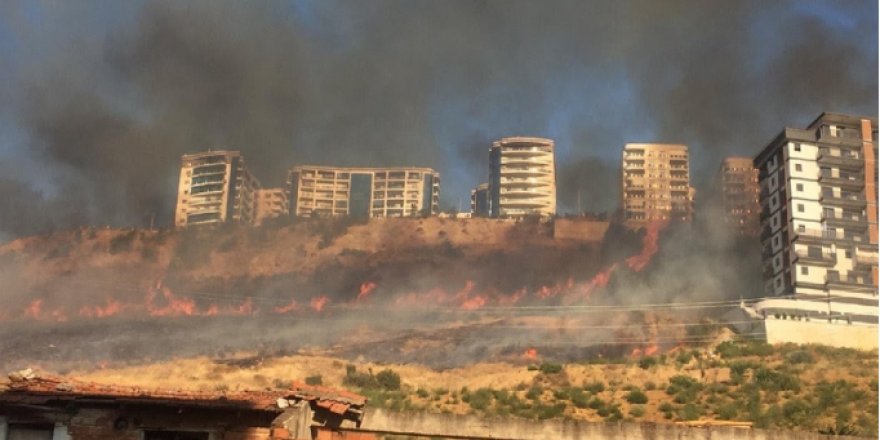 İzmir'de farklı bölgede orman yangını