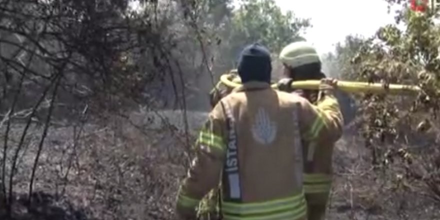 Orman alanında yangın