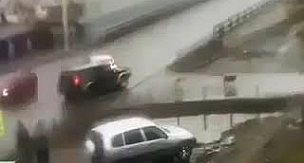 Bu iki köpek, hiç bir kazayı kaçırmıyor!