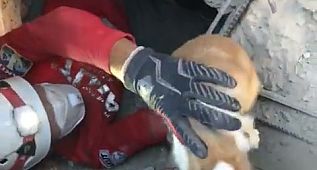 Bir can daha böyle kurarıldı