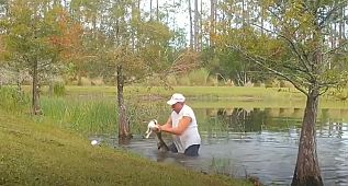 Köpeğini timsahın ağzından böyle kurtardı
