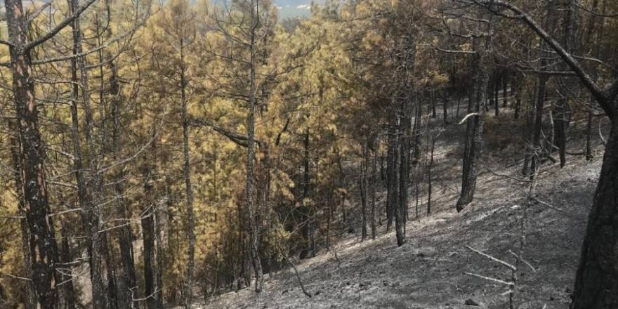 Yangının tahribatı gün ışığıyla ortaya çıktı