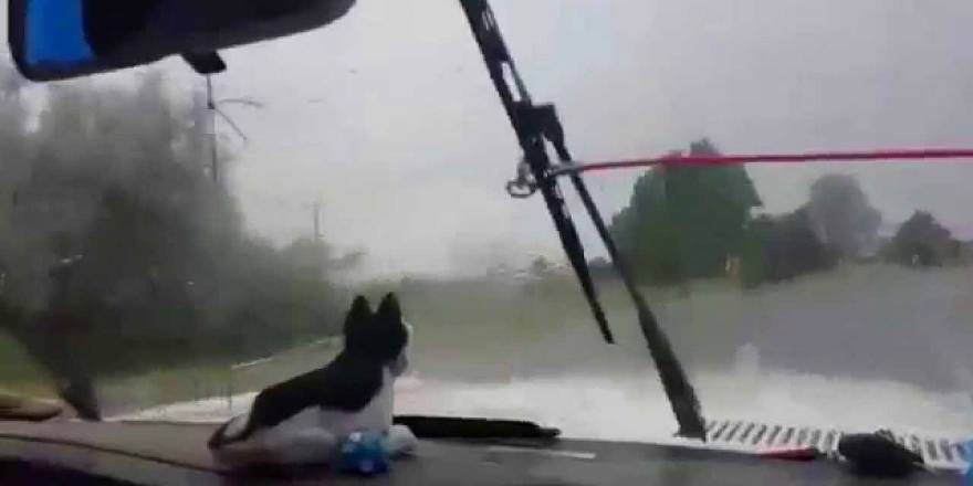 Sileceği çalışmayan vatandaşın ilginç çözümü