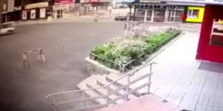 Polis ayıları kovaladı, ayılar vatandaşları: Şehir karıştı!