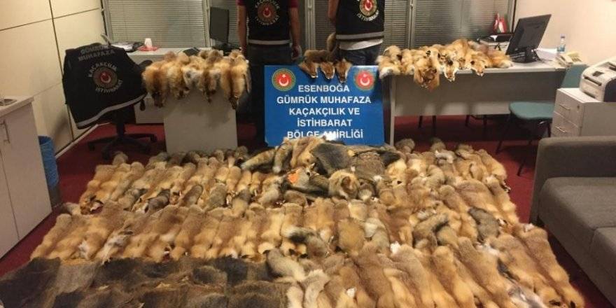 50 bin liralık kunduz ve tilki postu X-ray cihazına takıldı!