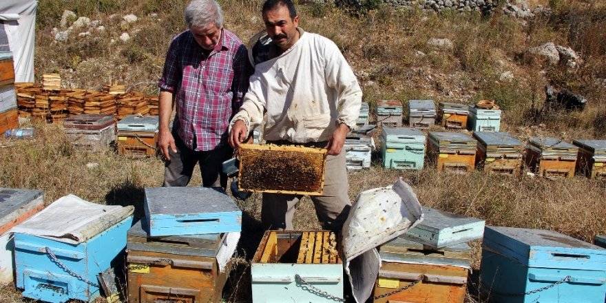 TAB Başkanı Şahin: ''Bakanlığımız güdümlü proje yaptı, oyaladılar bizi''