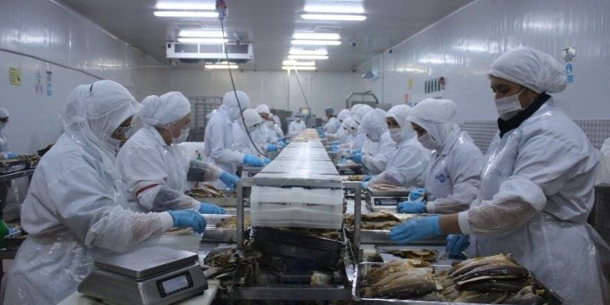 Denizli balık ihracatını Uzakdoğu ülkelerine taşıdı