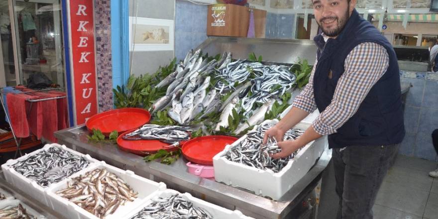 Balıkçılar, sezondan beklediklerini bulamıyor