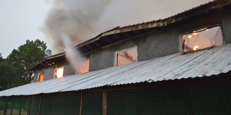 Yıldırımın düştüğü çiftlikte yaklaşık 500 hindi telef oldu