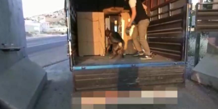 Saniye saniye görüntülendi... Mardin Polisi'nden nefes kesen operasyon